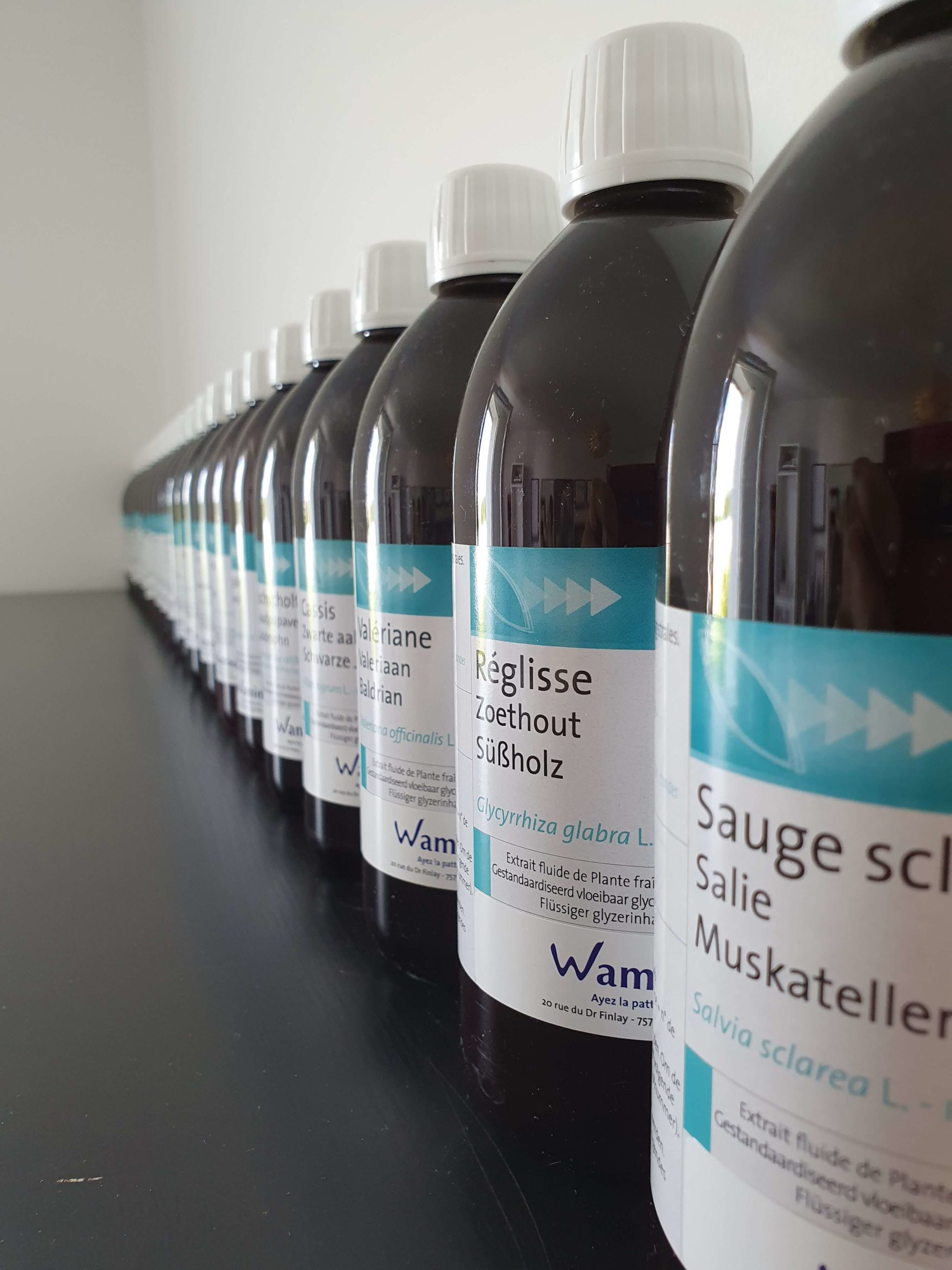 phytothérapie médecine vétérinaire naturelle alternative soins naturels plantes phytothérapie médecine vétérinaire naturelle alternative soins naturels plantes