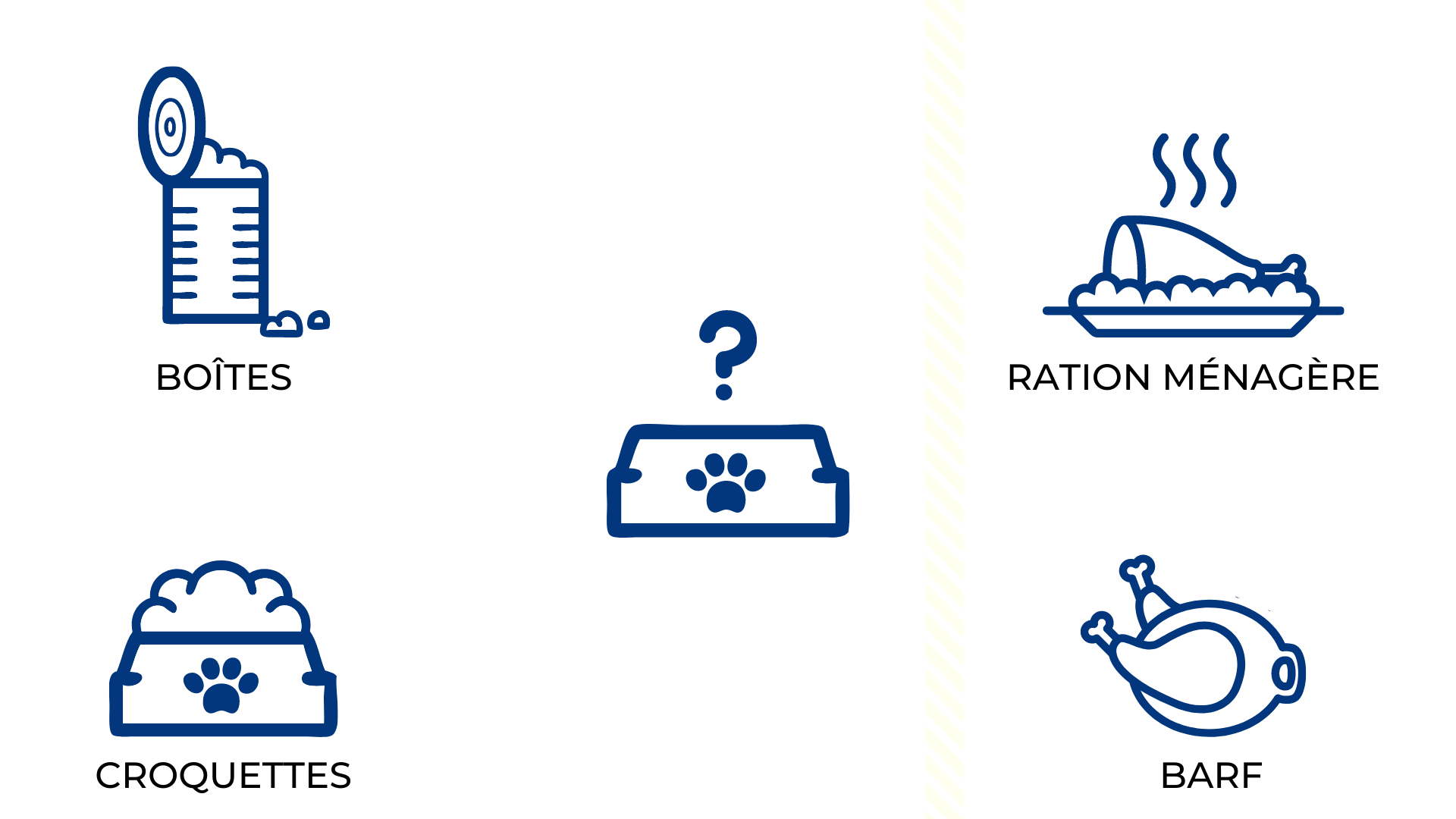 Nutrition chien chat croquettes ration ménagère BARF Nutrition alimentation animale chien chat croquettes BARF bi-nutrition ration ménagère