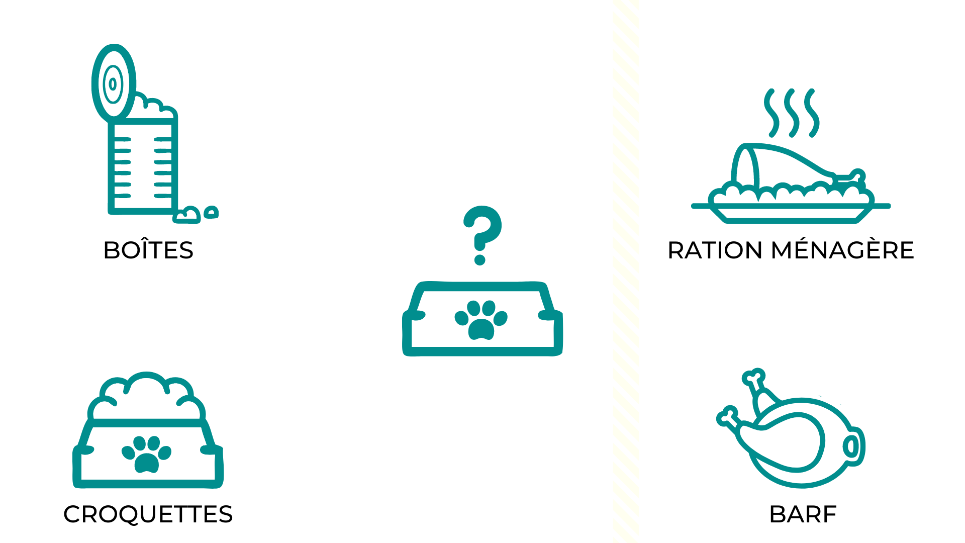 Nutrition alimentation animale chien chat croquettes BARF bi-nutrition ration ménagère Nutrition alimentation animale chien chat croquettes BARF bi-nutrition ration ménagère