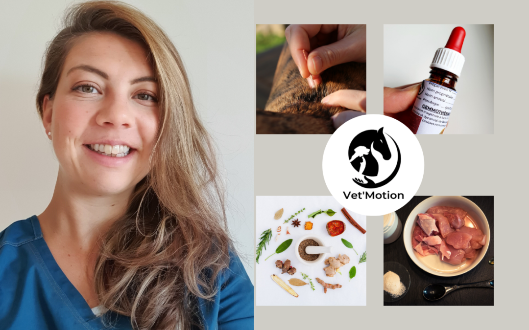 Interview Lucie Deveugle, thérapeute holistique Animal-Humain