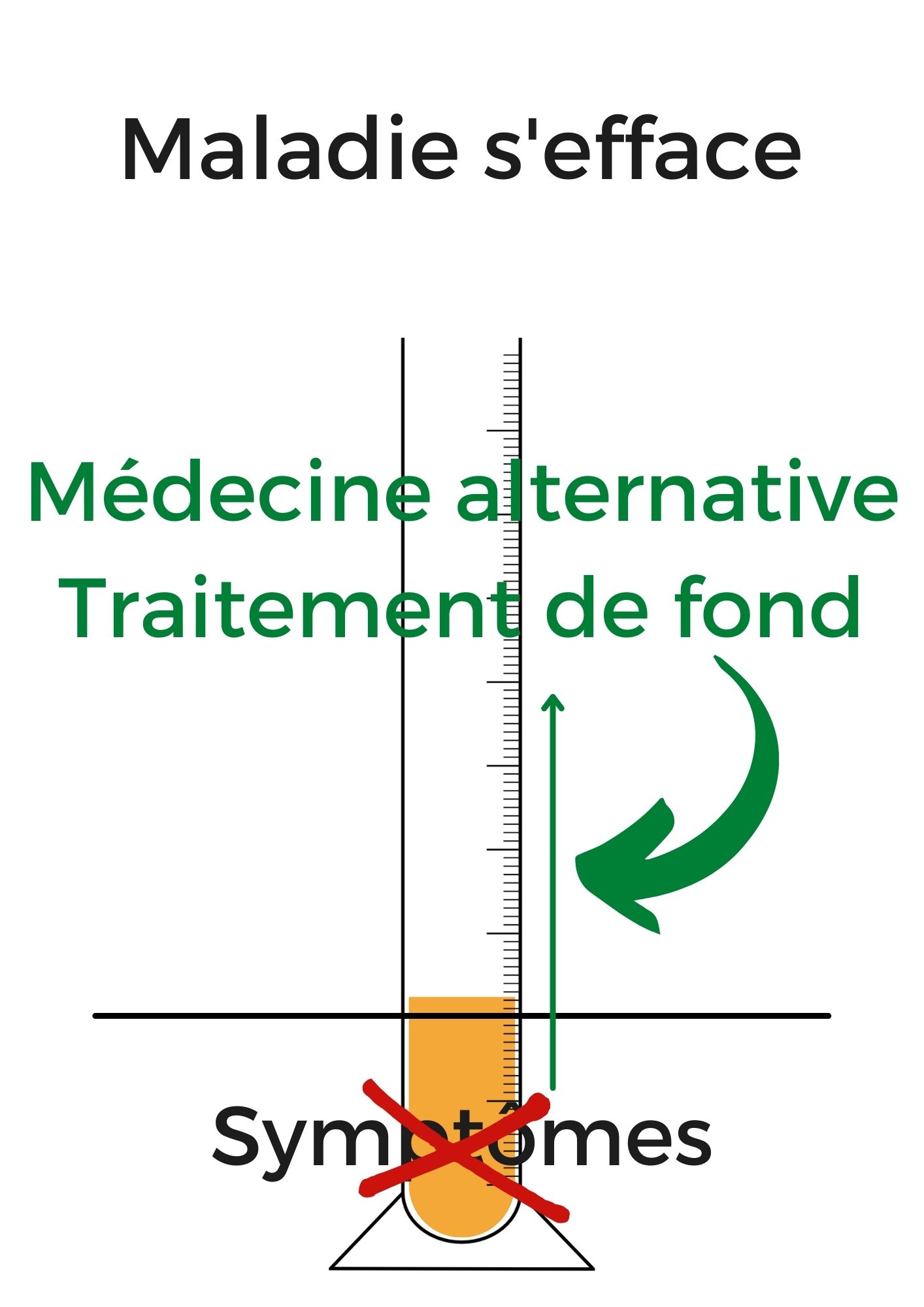 maladie chronique médecine vétérinaire naturelle alternative soins naturels plantes