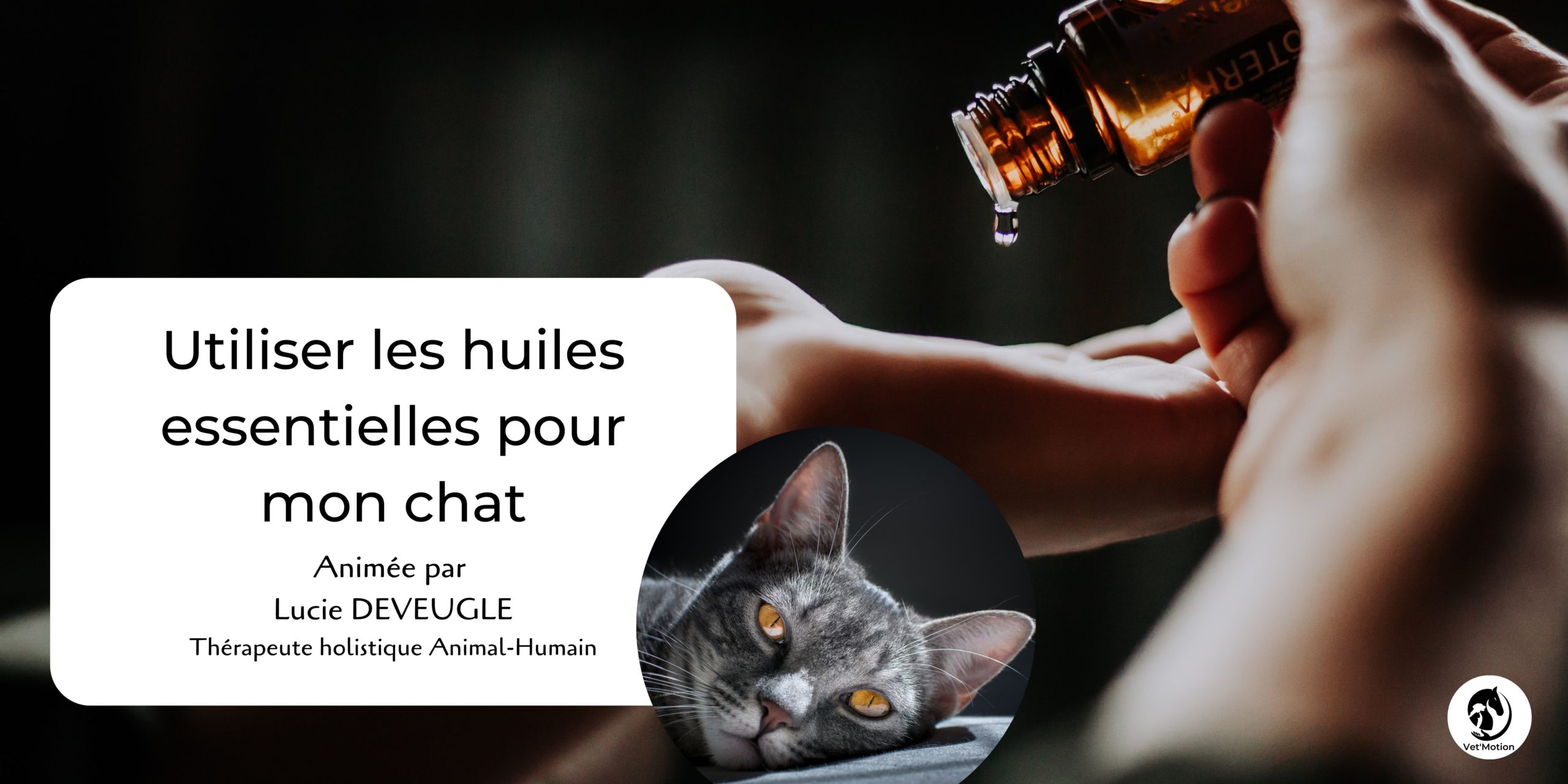 Aromathérapie huiles essentielles diffusion chat