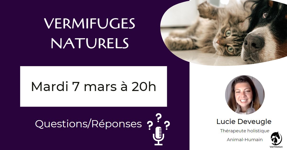 vermifuge naturel chien chat ail graines de courge nigelle