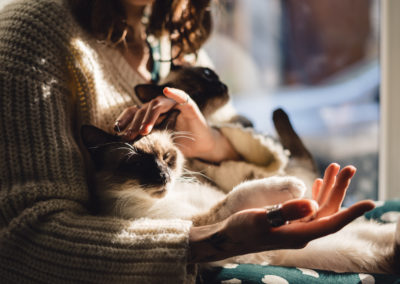 naturopathie animale thérapie animal humain alternative